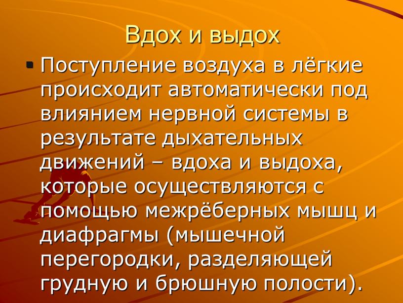 Вдох и выдох Поступление воздуха в лёгкие происходит автоматически под влиянием нервной системы в результате дыхательных движений – вдоха и выдоха, которые осуществляются с помощью…