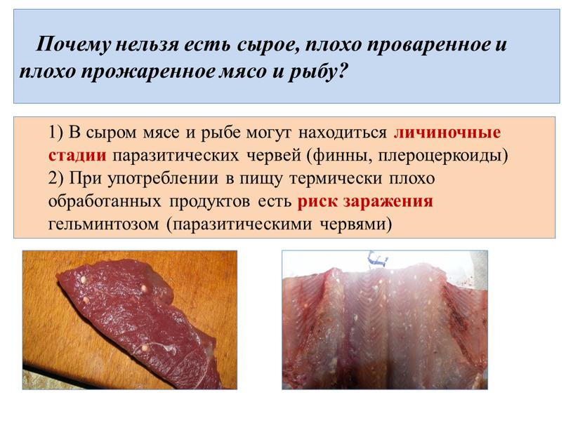 Почему нельзя есть сырое, плохо проваренное и плохо прожаренное мясо и рыбу? 1)