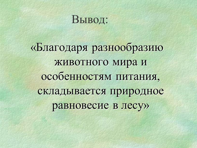 Вывод: «Благодаря разнообразию животного мира и особенностям питания, складывается природное равновесие в лесу»