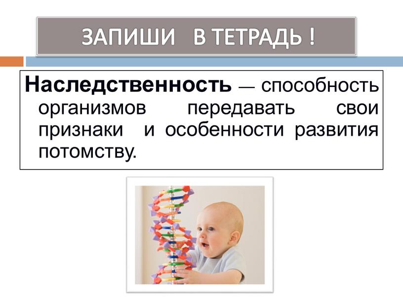 ЗАПИШИ В ТЕТРАДЬ ! Наследственность — способность организмов передавать свои признаки и особенности развития потомству