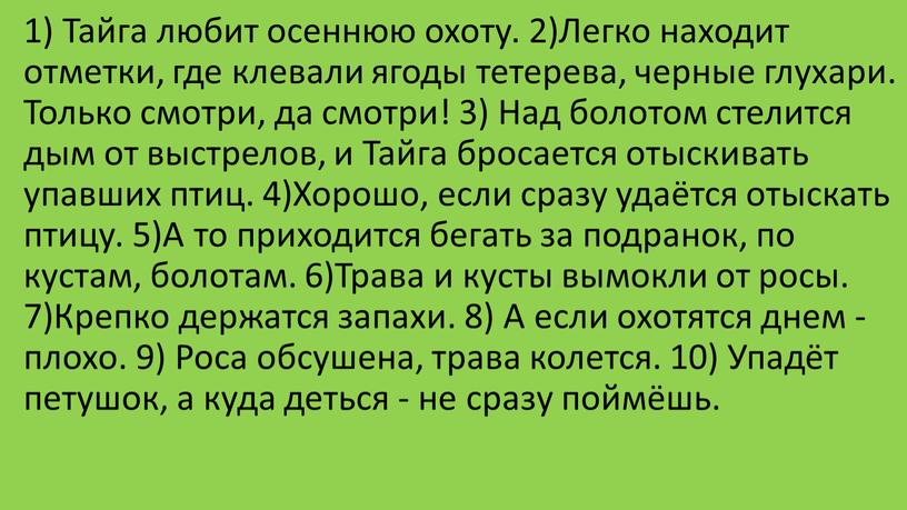 Тайга любит осеннюю охоту. 2)Легко находит отметки, где клевали ягоды тетерева, черные глухари