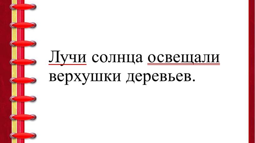 Лучи солнца освещали верхушки деревьев