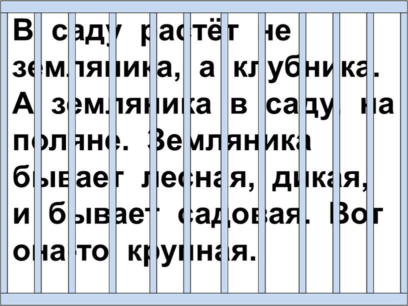 В саду растёт не земляника, а клубника