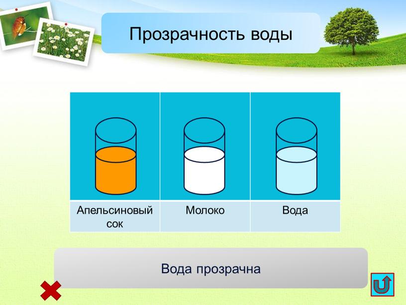 Апельсиновый сок Молоко Вода Прозрачность воды