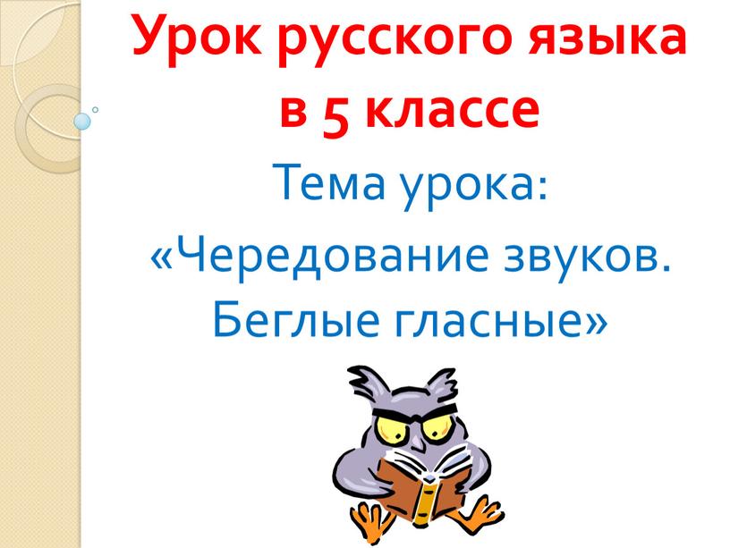 Урок русского языка в 5 классе