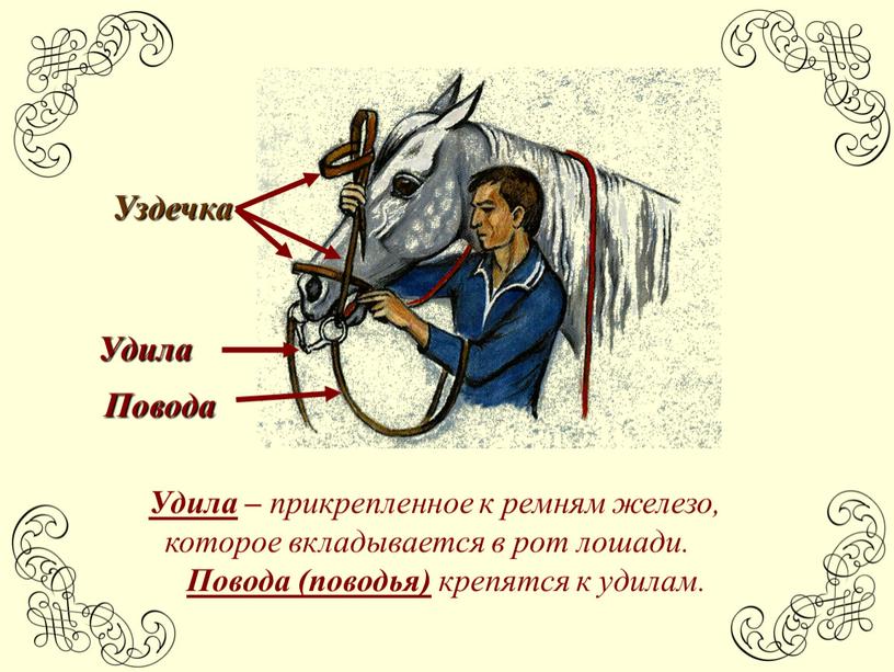 Повода Уздечка Удила – прикрепленное к ремням железо, которое вкладывается в рот лошади