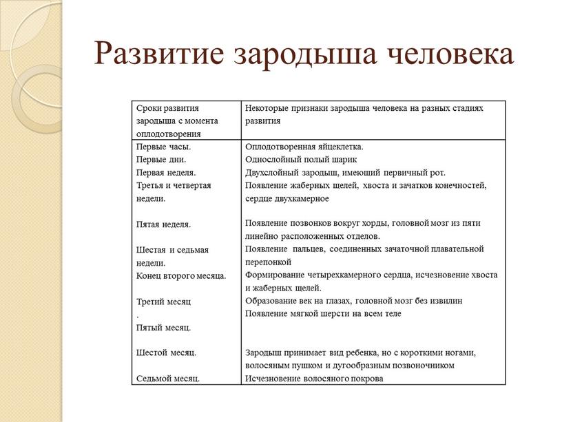 Развитие зародыша человека Сроки развития зародыша с момента оплодотворения