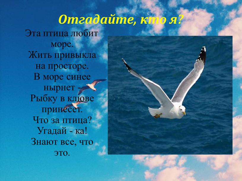 Отгадайте, кто я? Эта птица любит море