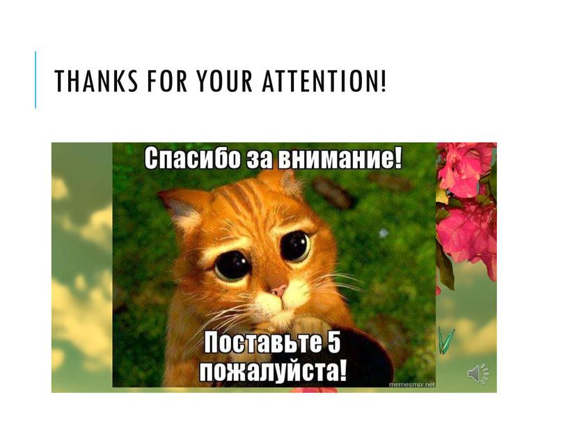 Thanks for your attention!