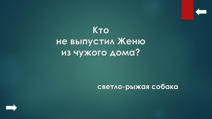 Кто не выпустил Женю из чужого дома? светло-рыжая собака