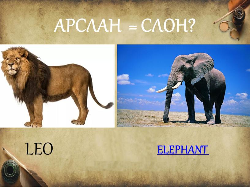 АРСЛАН = СЛОН? LEO ELEPHANT