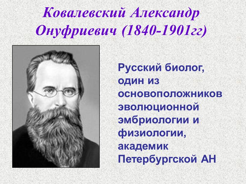 Ковалевский Александр Онуфриевич (1840-1901гг)