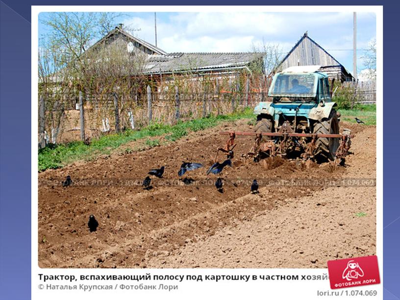 Презентация по чтению "день птиц"