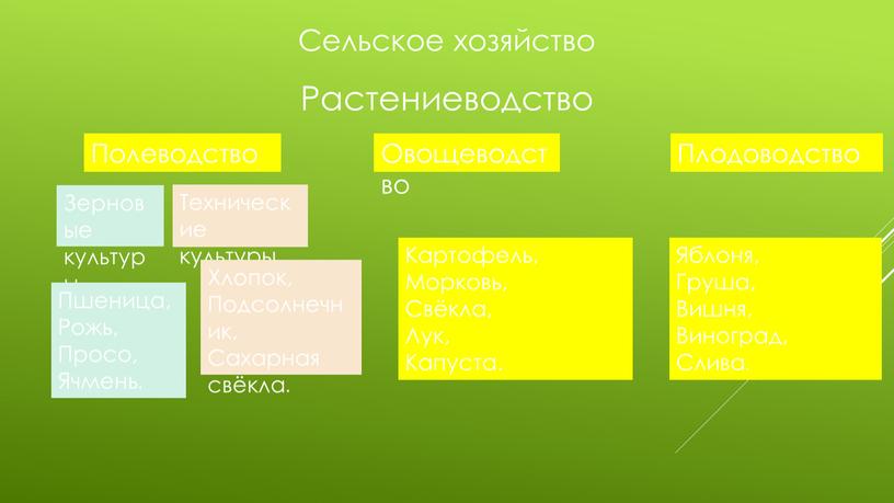 Сельское хозяйство Растениеводство