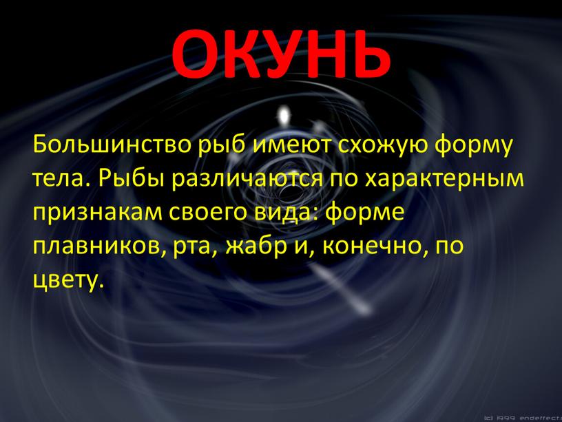 ОКУНЬ Большинство рыб имеют схожую форму тела