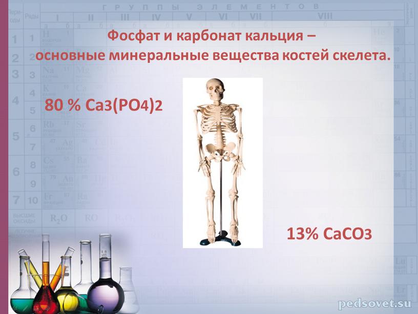 Фосфат и карбонат кальция – основные минеральные вещества костей скелета