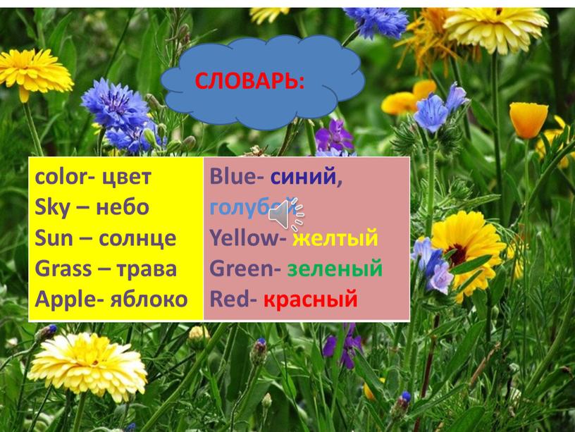 Sky – небо Sun – солнце Grass – трава