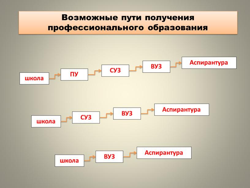 Возможные пути получения профессионального образования школа