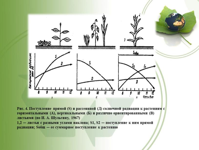 Рис. 4. Поступление прямой (S) и рассеянной (Д) солнечной радиации к растениям с горизонтальными (А), вертикальными (Б) и различно ориентированными (В) листьями (по