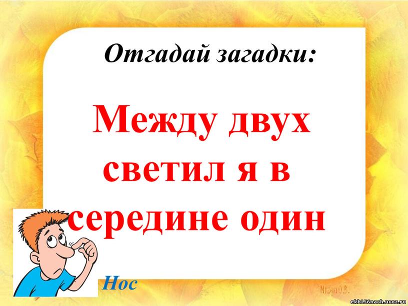 Отгадай загадки: Между двух светил я в середине один