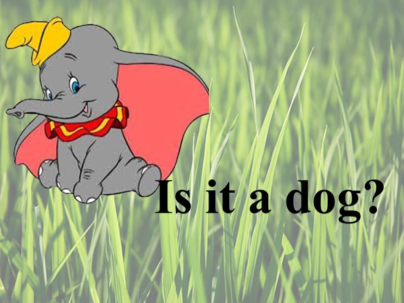 Is it a dog?