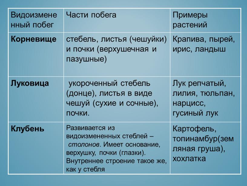 Видоизмененный побег Части побега