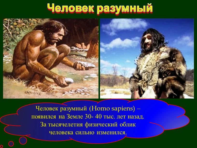 Человек разумный Человек разумный (Homo sapiens) – появился на