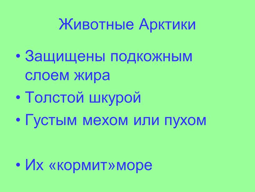 Животные Арктики Защищены подкожным слоем жира