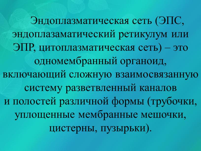 Эндоплазматическая сеть (ЭПС, эндоплазаматический ретикулум или