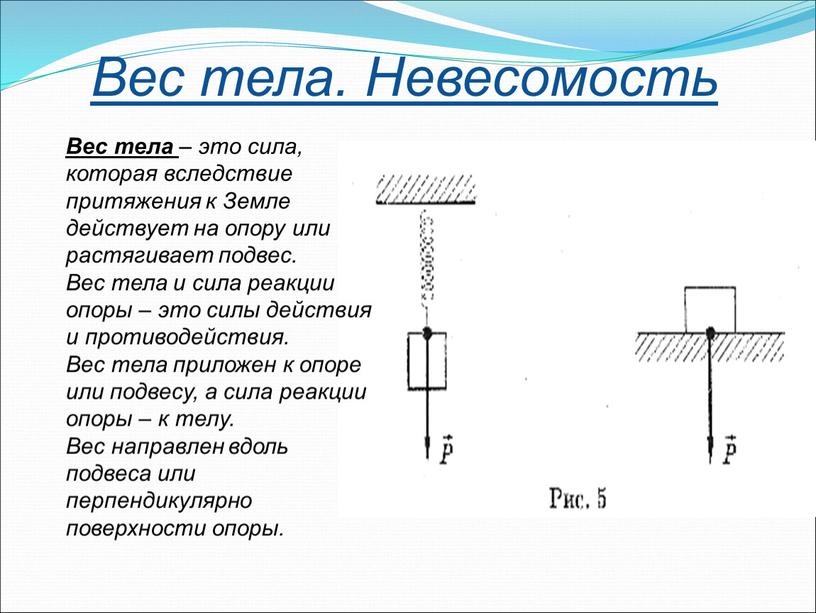 Вес тела рисунок физика