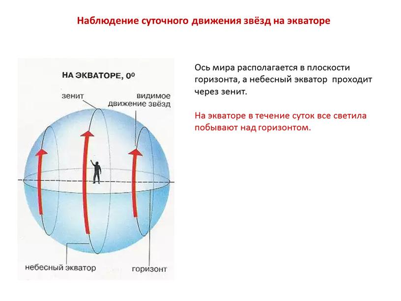 Ось мира располагается в плоскости горизонта, а небесный экватор проходит через зенит