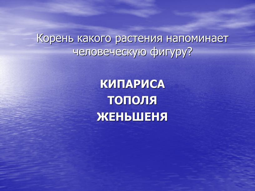 Корень какого растения напоминает человеческую фигуру?