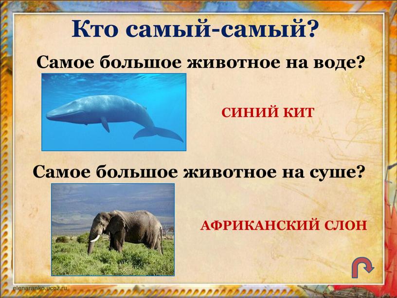 Кто самый-самый? Самое большое животное на воде?