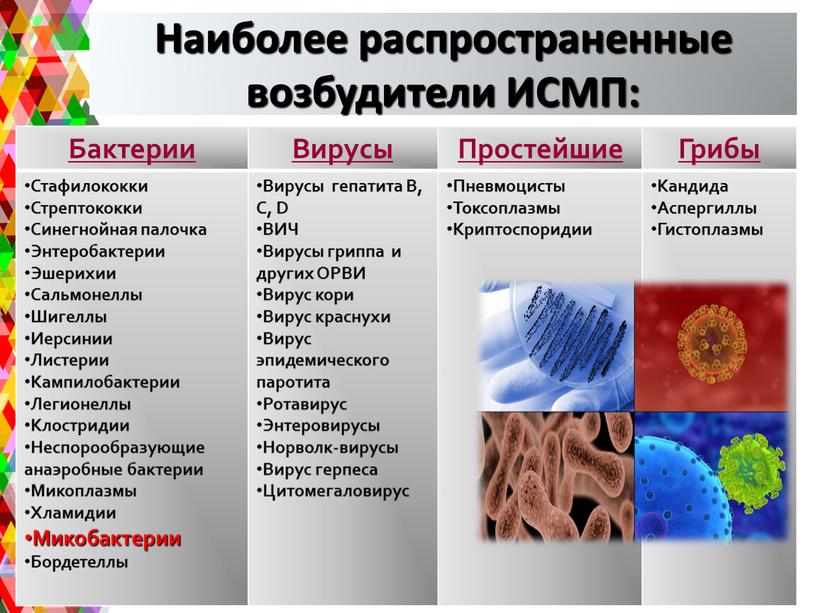 Наиболее распространенные возбудители