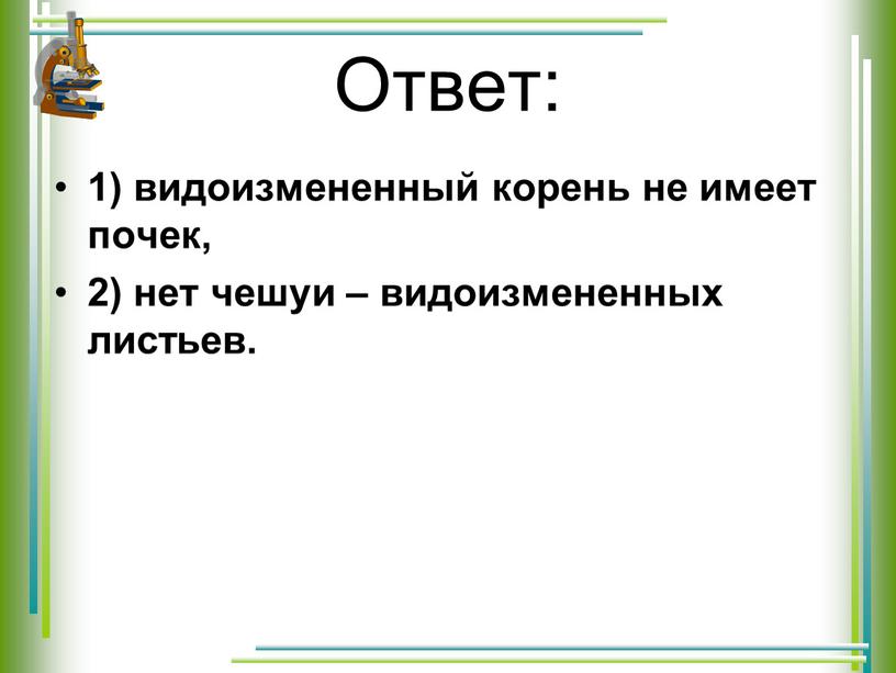 Ответ: 1) видоизмененный корень не имеет почек, 2) нет чешуи – видоизмененных листьев