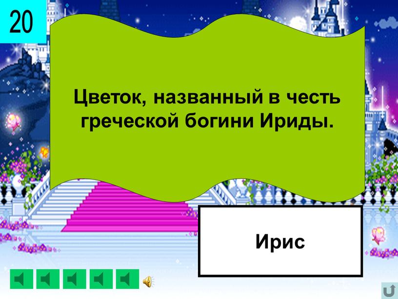 Цветок, названный в честь греческой богини