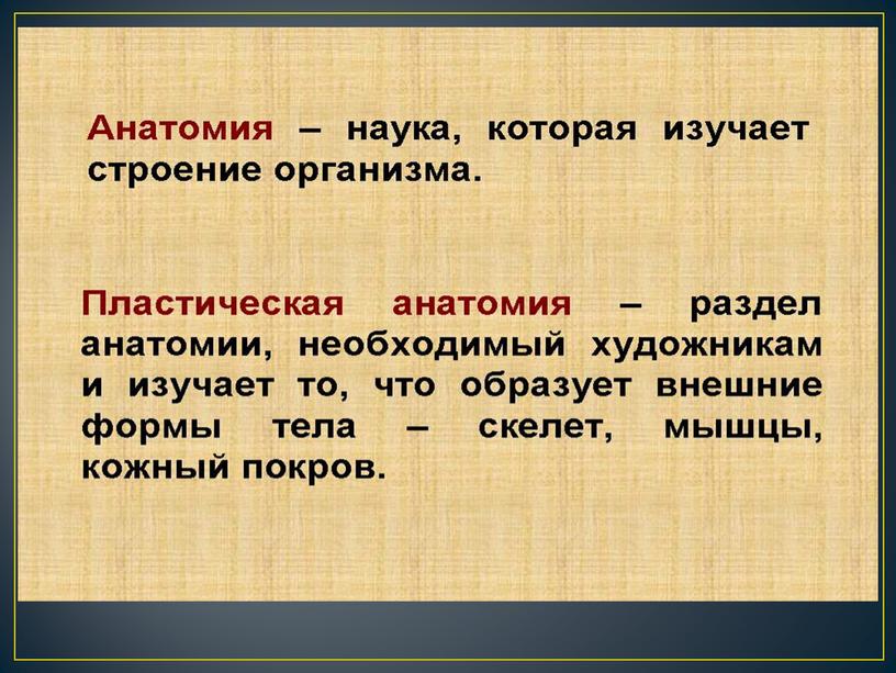 Презентация по теме "Конструкция головы человека"