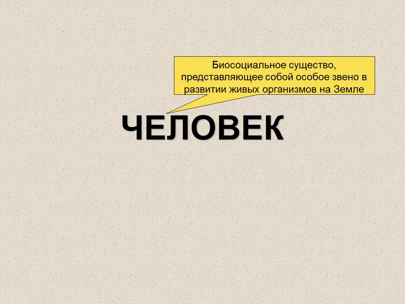 ЧЕЛОВЕК Биосоциальное существо, представляющее собой особое звено в развитии живых организмов на