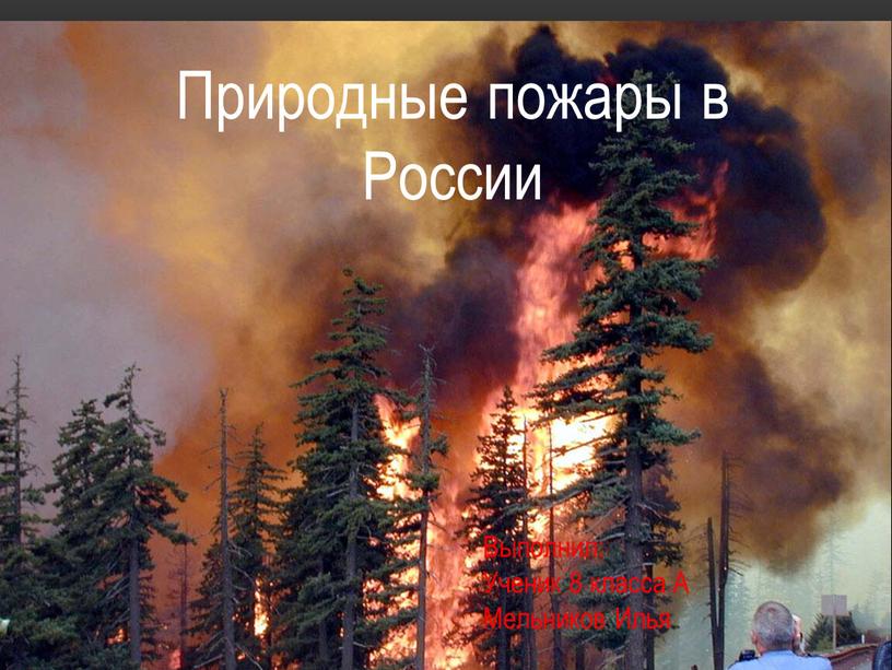 Природные пожары в России Выполнил: