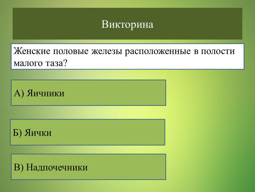 Викторина В) Надпочечники Б) Яички