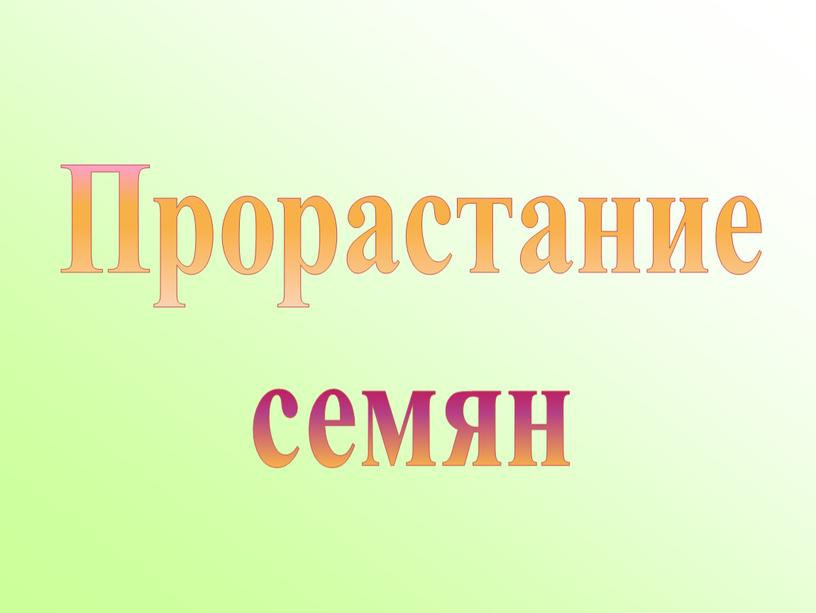 Прорастание семян