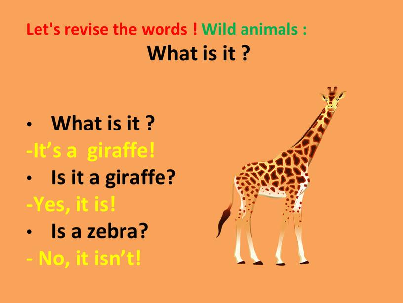 Let's revise the words ! Wild animals :