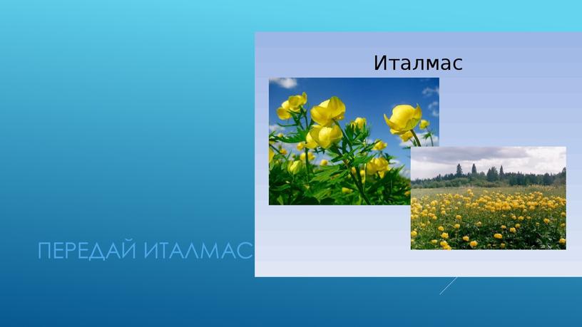 передай италмас