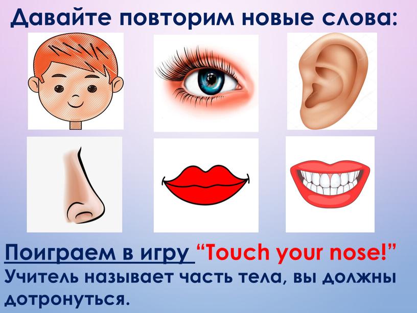 Давайте повторим новые слова: Поиграем в игру “Touch your nose!”