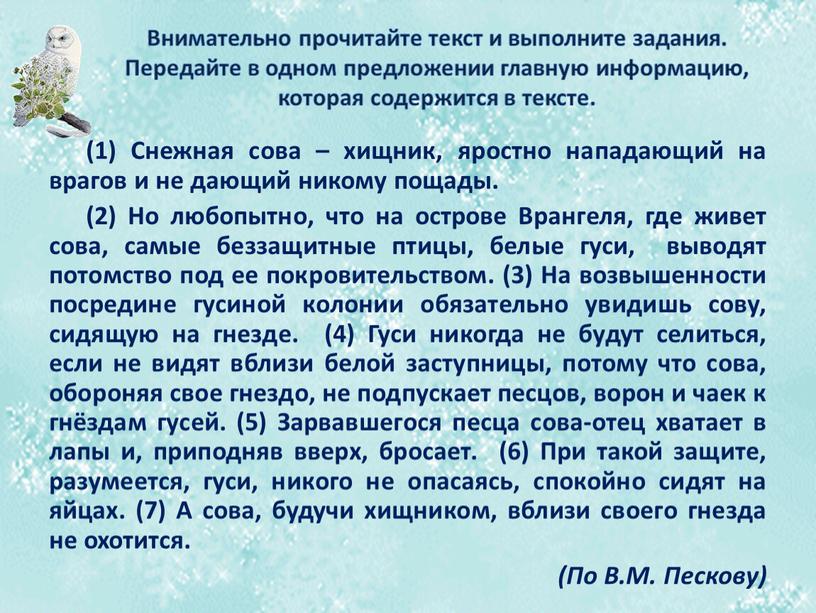 Внимательно прочитайте текст и выполните задания