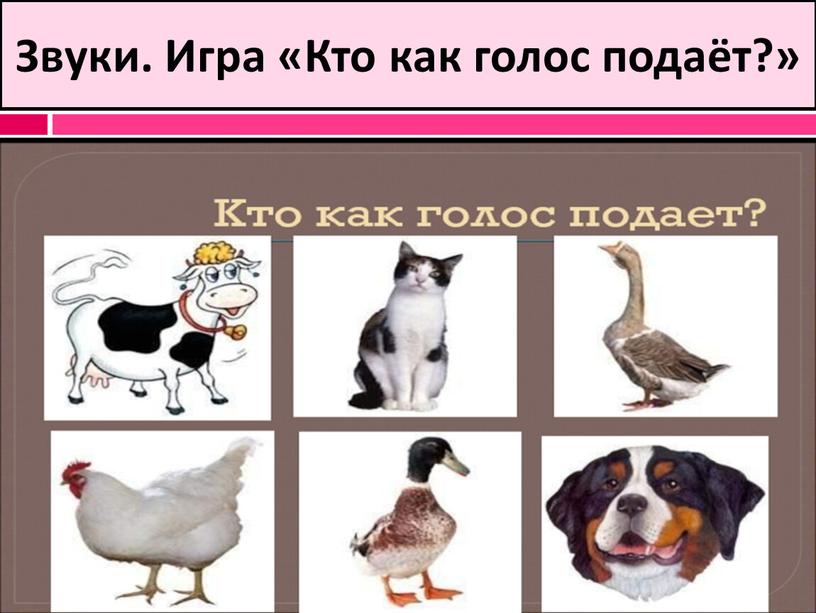 Звуки. Игра «Кто как голос подаёт?»