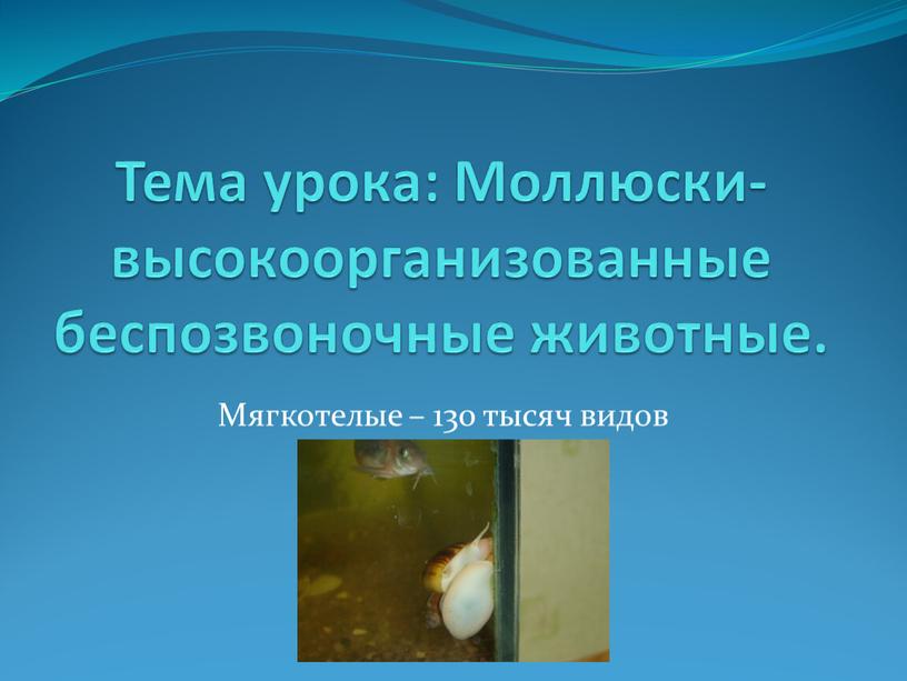 Тема урока: Моллюски- высокоорганизованные беспозвоночные животные