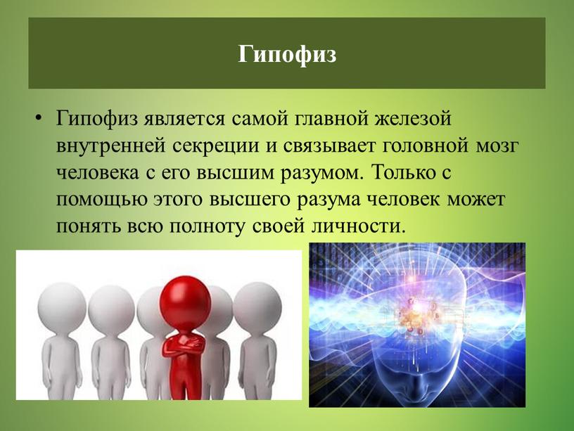 Гипофиз является самой главной железой внутренней секреции и связывает головной мозг человека с его высшим разумом