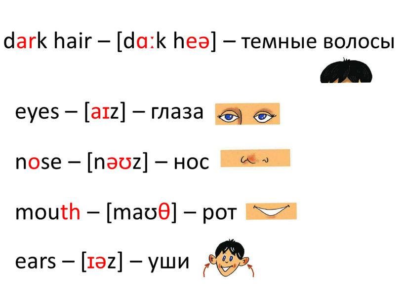 dark hair – [dɑːk heə] – темные волосы eyes – [aɪz] – глаза nose – [nəʊz] – нос mouth – [maʊθ] – рот ears –…