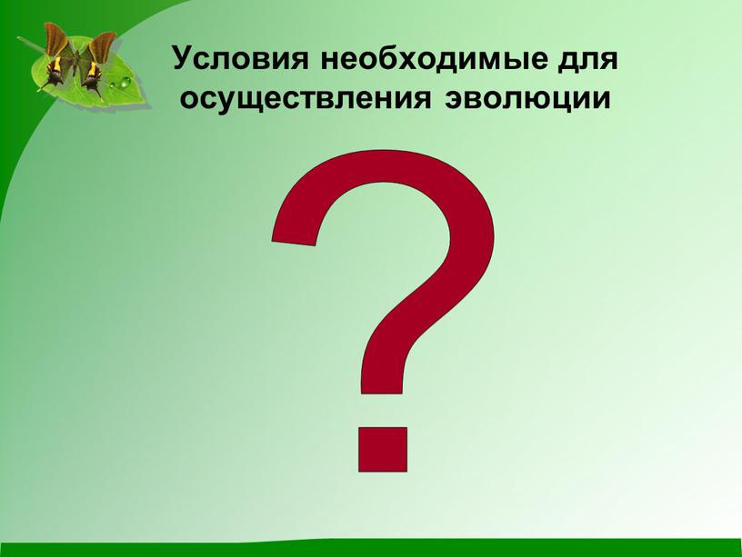 Условия необходимые для осуществления эволюции ?